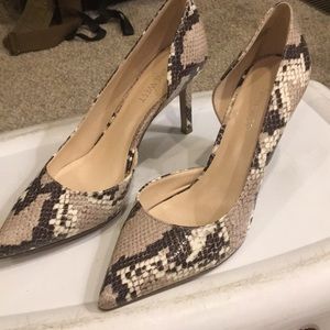 Python Pumps